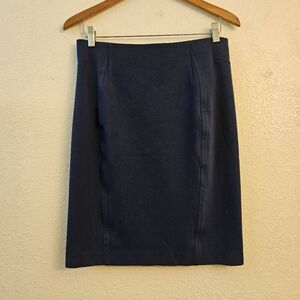 Ann Taylor Navy Blue Stretch Pencil Skirt: Workwear Essential Feminine Fit: 6